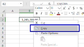 Copy Paste Isi dan Format Cellnya Langsung Dalam Microsoft Excel